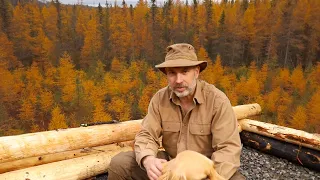 November Rain | Log Cabin Sauna Ep  7 | Canadian Wilderness Off Grid Living