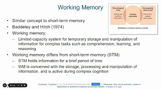 Chapter 5 Short Term and Working Memory