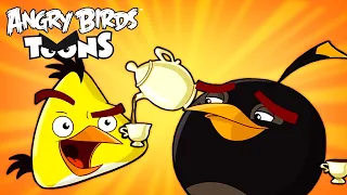 Angry Birds Toons Season 3 | Ep. 6 to 10