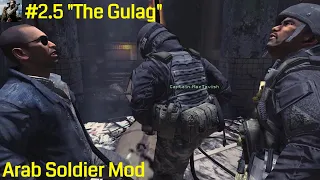 Modern Warfare 2 Arab Soldier Mod Gameplay