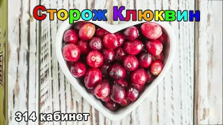 314 кабинет | СТОРОЖ КЛЮКВИН | Рождение Клятвина-Иванова,  Часть 2