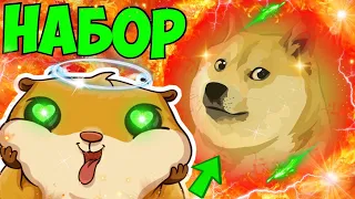 DOGECOIN САМОЕ ЛУЧШЕЕ НАКОПЛЕНИЕ ЗА ВСЮ ИСТОРИЮ! DOGE КРИПТОВАЛЮТА! ИЛОН МАСК ПРИНИМАЕТ ДОГИ! ФЛИП