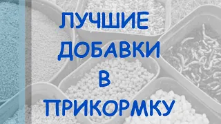 Лучшие добавки в прикормку. Топ добавок в прикормку для фидера