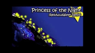 Princess Of the Night (Remix)