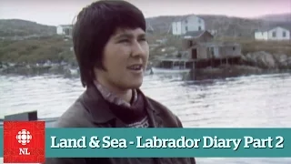 Land & Sea - Labrador Diary - Part 2