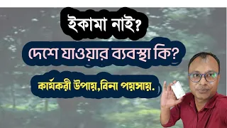 সৌদিতে অবৈধ কাদের বলে,দেশে কিভাবে যাবেন।