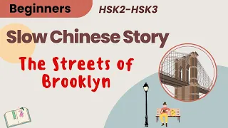 Short Chinese Stories for Beginners - Mandarin Chinese Listening Practice - Slow Chinese (HSK 2, 3)