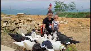 The way Yen Nhi and her mother cook lard, the giant pot of lard they cook and use in meals