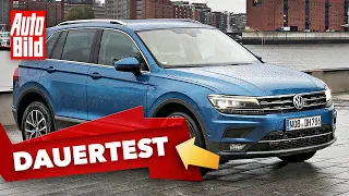 VW Tiguan (2020): Dauertest - SUV - Ratgeber - Info