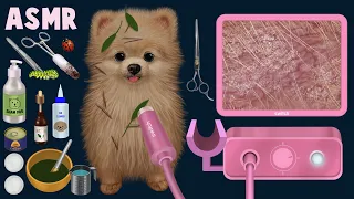 [ASMR|스톱모션] Dog spa | ear cleaning | massage | Stop motion