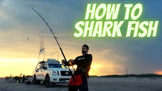 How to Shark Fish from Land