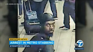 LAPD arrests suspect in deadly stabbing of passenger on Metro train