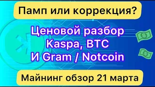 KASPA, BTC -- ЦЕНОВОЙ РАЗБОР ❗️ А ТАКЖЕ GRAM И NOTCOIN // МАЙНИНГ ОБЗОР 21 МАРТА