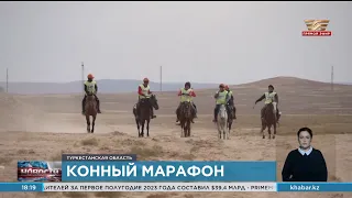 Конный марафон «Ұлы дала жорығы» завершился в Туркестане