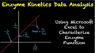 Enzyme Kinetics Data Analysis