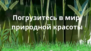 Давайте вместе отправимся на захватывающее приключение вдоль живописных берегов реки!