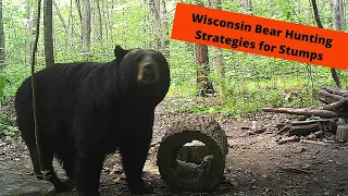 Wisconsin bear baiting tactics | Hollow Stump