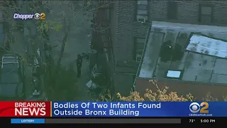 Bodies Of 2 Baby Boys Found Wrapped In Paper Behind Bronx Building, NYPD Says