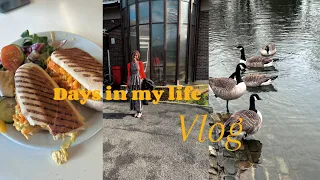 Vlog:went to a beautiful church+visited the park+doing laundry ||living alone diaries✨