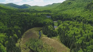 La semaine verte | Impact du climat sur la biodiversité