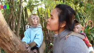 Mr. Monkey Koko Making Upset Face Because Mom Doesn't Care Him