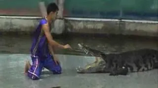 Uncut   Crocodile Death Roll