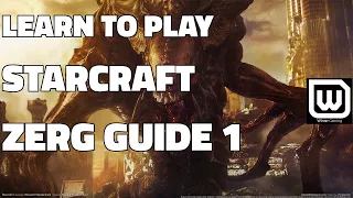 Learn to play Starcraft - Zerg Beginner Guide #1 - Updated (2017)