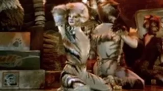 smallish thing in cats that I noticed yay • cats the musical (1998)