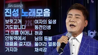 진성 노래모음(보릿고개/기도합니다/그 이름 어머니/안동역에서/태클을 걸지마/가지마/여자의 일생/동전인생/허공/님의 등불/ 울어라 열풍아/채석강) #진성노래 #인기트로트 #트로트앨범