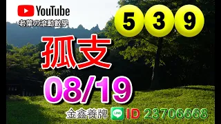 今彩 孤支 08/19