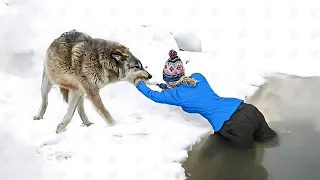 Heldentiere, die Menschenleben gerettet haben!