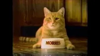 1984 9 Lives Cat Food Presents Morris Commercial