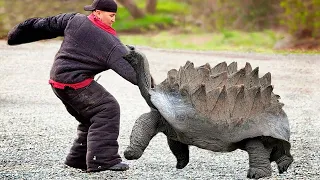 Посмотрите, на Что Способна Самая Опасная Черепаха в Мире