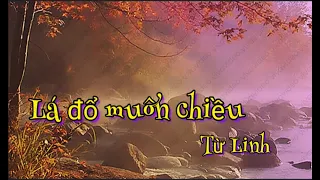 LÁ ĐỔ MUÔN CHIỀU.st Từ Linh.hoà tấu cover💜1