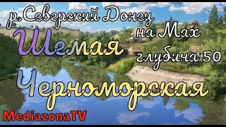 Русская Рыбалка 4 Где КЛюет р Северский Донец Шемая Черноморская 09 03 23