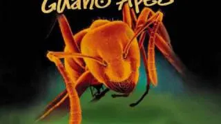 Guano Apes - Open Your Eyes [+ DOWNLOAD LINK]