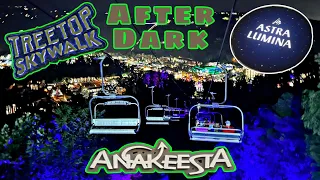 Anakeesta After Dark! Astra Lumina and Treetop Skywalk - Gatlinburg, Tennessee