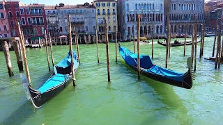 A wonderful Day İn Venice-4K