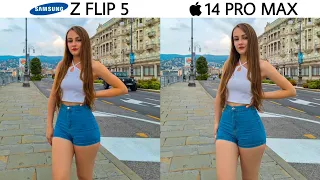 Samsung Galaxy Z Flip 5 vs iPhone 14 Pro Max Camera Test