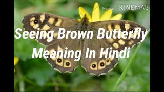 Seeing Brown Butterfly Meaning In Hindi