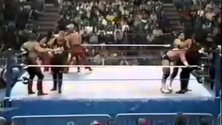 WWF Superstars Tag Team Battle Royal 1991