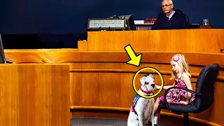 The girl signaled to the dog. The judge stops the hearing when the dog reacts...