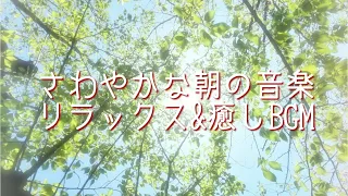 さわやかな朝音楽・リラックス＆癒しのBGM・優しいアコースティックギターで穏やかな時間を #オビナタナオマサWorks