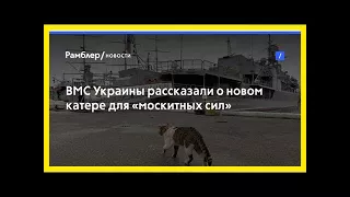 Вмс украины рассказали о новом катере для «москитных сил»