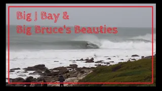 Big J Bay & Bruce's Beauties