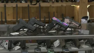 Florida eases requirements on gun owners with Constitutional Carry law