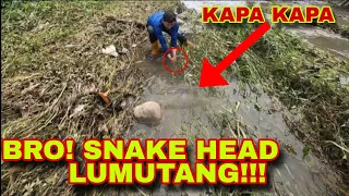 LUMUTANG ANG SNAKE HEAD!! HABANG NANGANGAPA AKO  NAPATAKBO AKO SA LAMBAT Catch And Cook