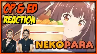 NEKOPARA OP & ED REACTION! Anime Reaction #37