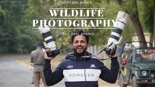 Wildlife Photography Sillari Peanch Tiger Dikha ?