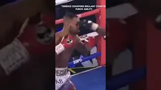 FILM STUDY MONOLOGUE MUST WASTCH TERENCE CRAWFORD BRILLANT COUNTER PUNCHING FOR SPENCE WILL IT WORK